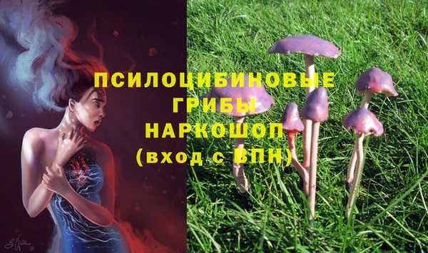 mix Алексин