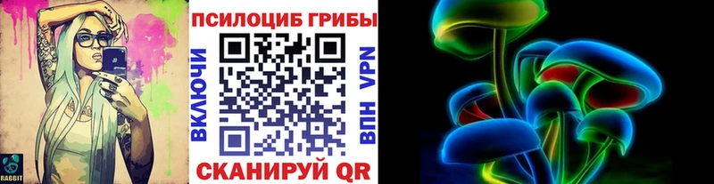 Галлюциногенные грибы Cubensis  купить наркоту  Нижнеудинск 